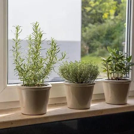 Grafschafft Angenehmes Wohnen - Mit 2 Schlafzimmern Apartament *